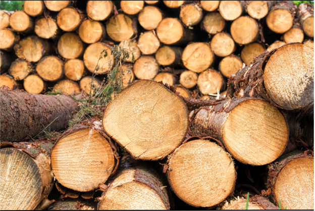 wood logs piled up