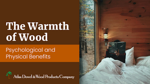 a person sits in bed reading in a room with wooden walls text reads the warmth of wood psychological and physical benefits